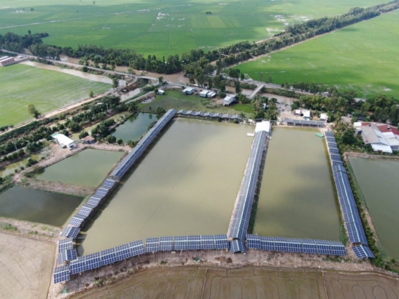 Dự án ao cá kết hợp điện mặt trời tại An Giang